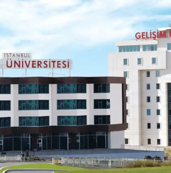 Istanbul Gelisim University